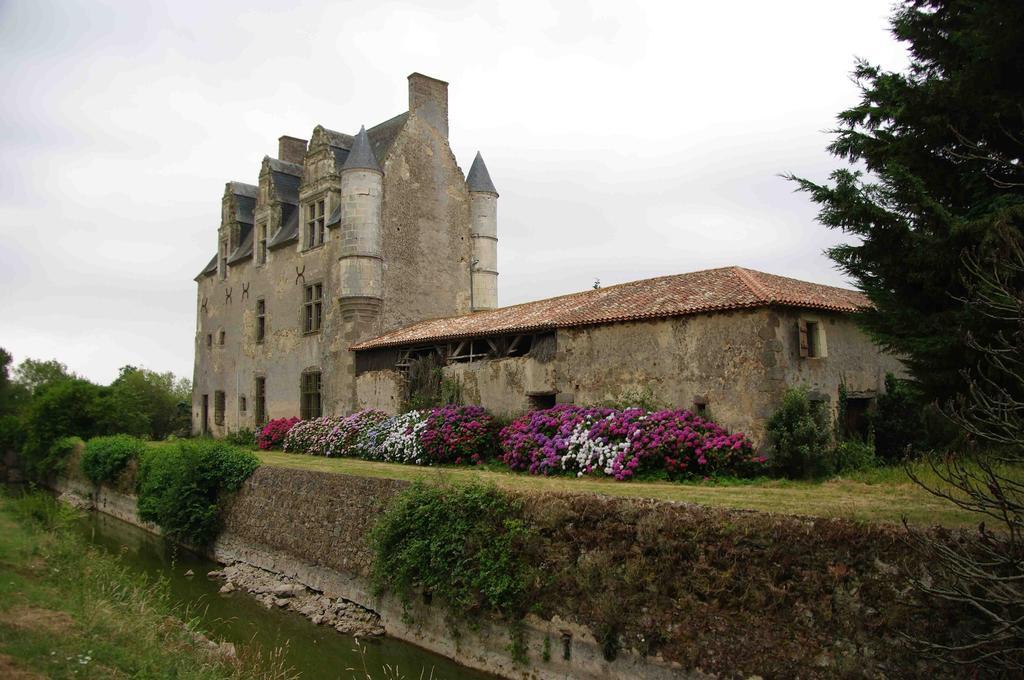 Chateau De Vermette Hotel La Chapelle-Gaudin Zewnętrze zdjęcie