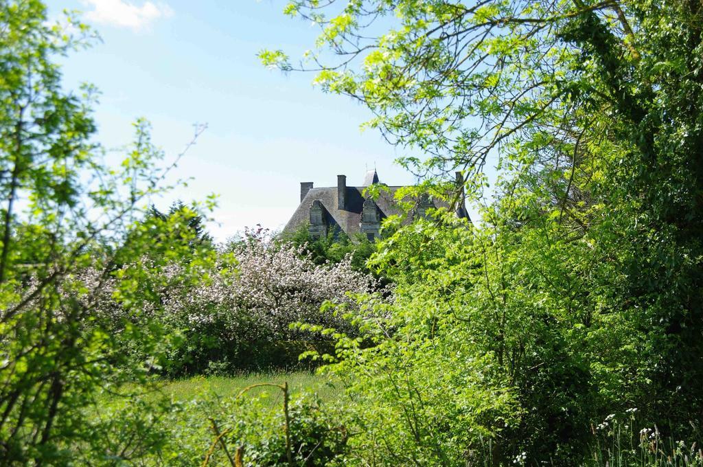 Chateau De Vermette Hotel La Chapelle-Gaudin Zewnętrze zdjęcie
