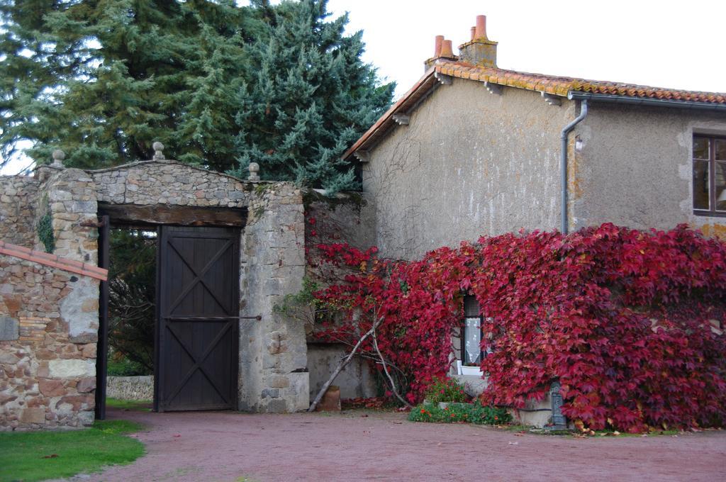 Chateau De Vermette Hotel La Chapelle-Gaudin Zewnętrze zdjęcie